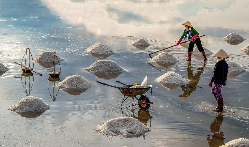 RUỘNG MUỐI NINH DIÊM