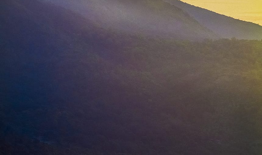 HOÀ CÙNG THIÊN NHIÊN