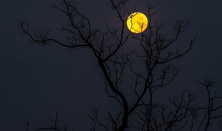 ĐÊM HUYỀN DIỆU